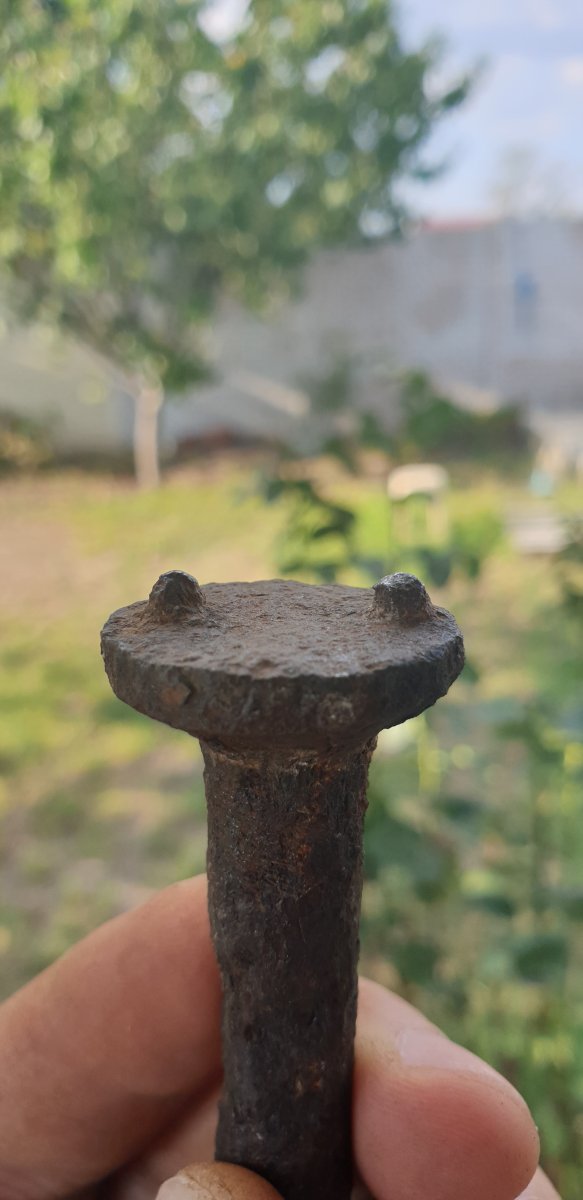 20190810_174853.jpg
