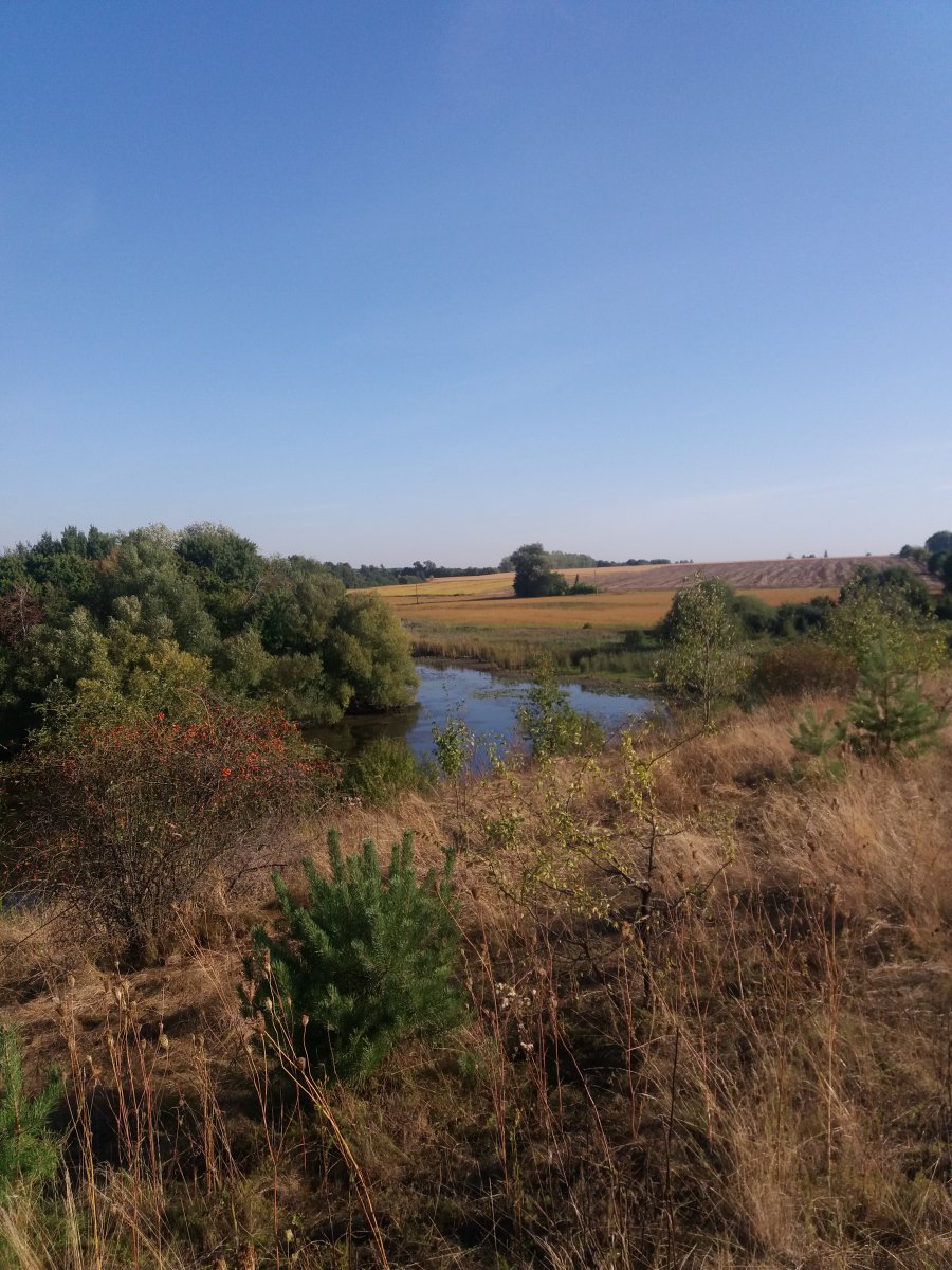 20190910_090253.jpg