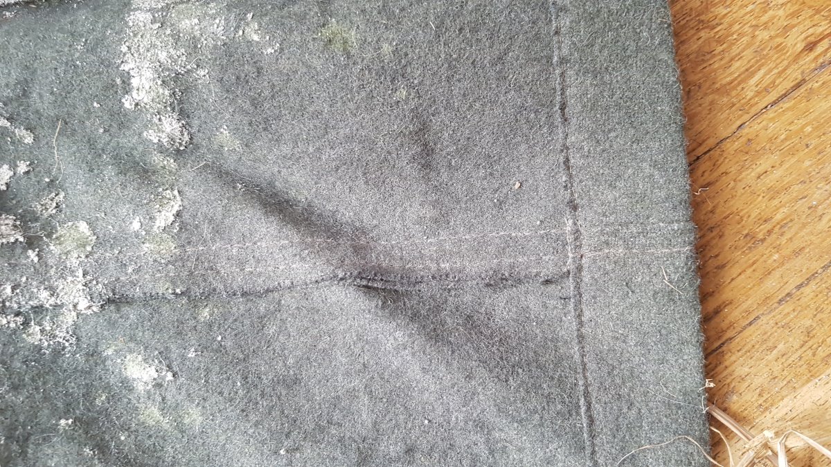 20190918_123415.jpg