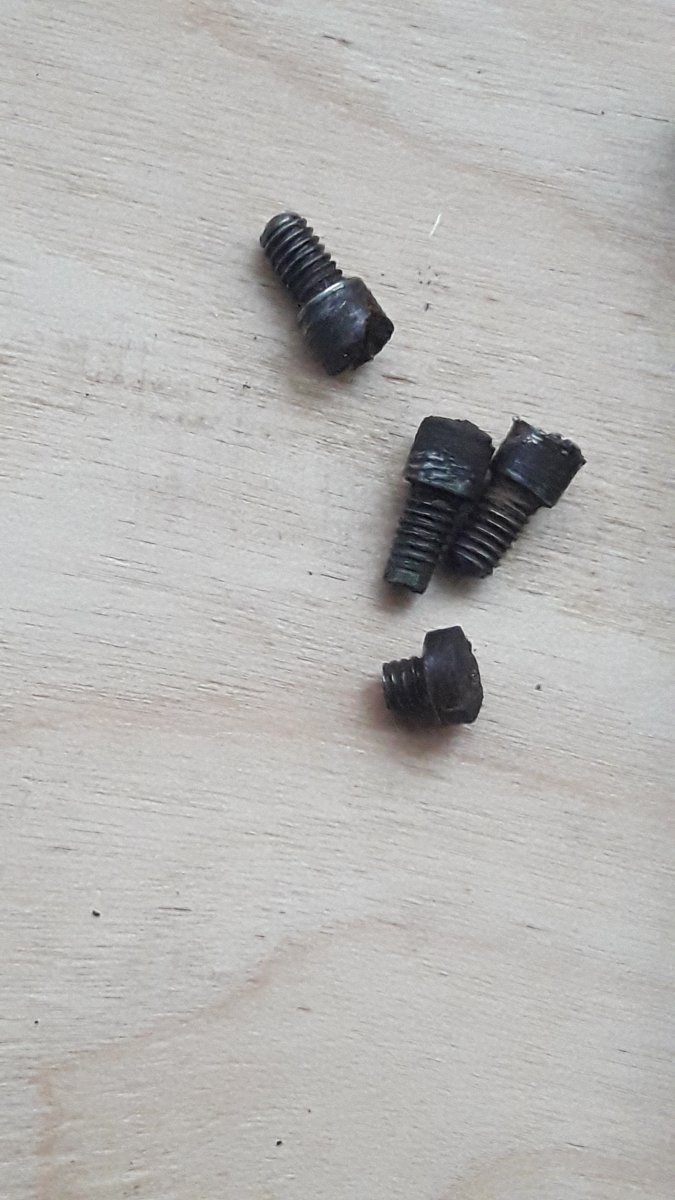 20190920_080302.jpg