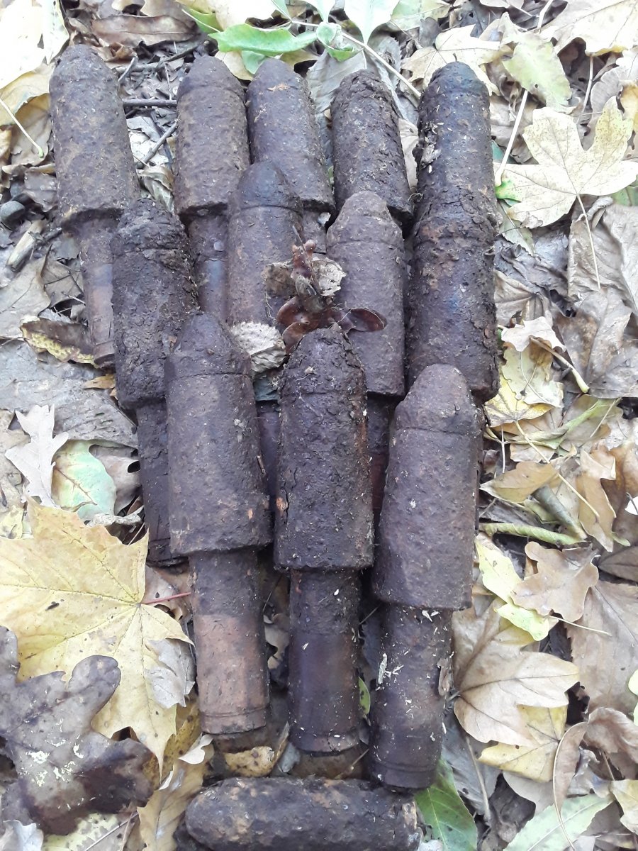 20191014_141408.jpg