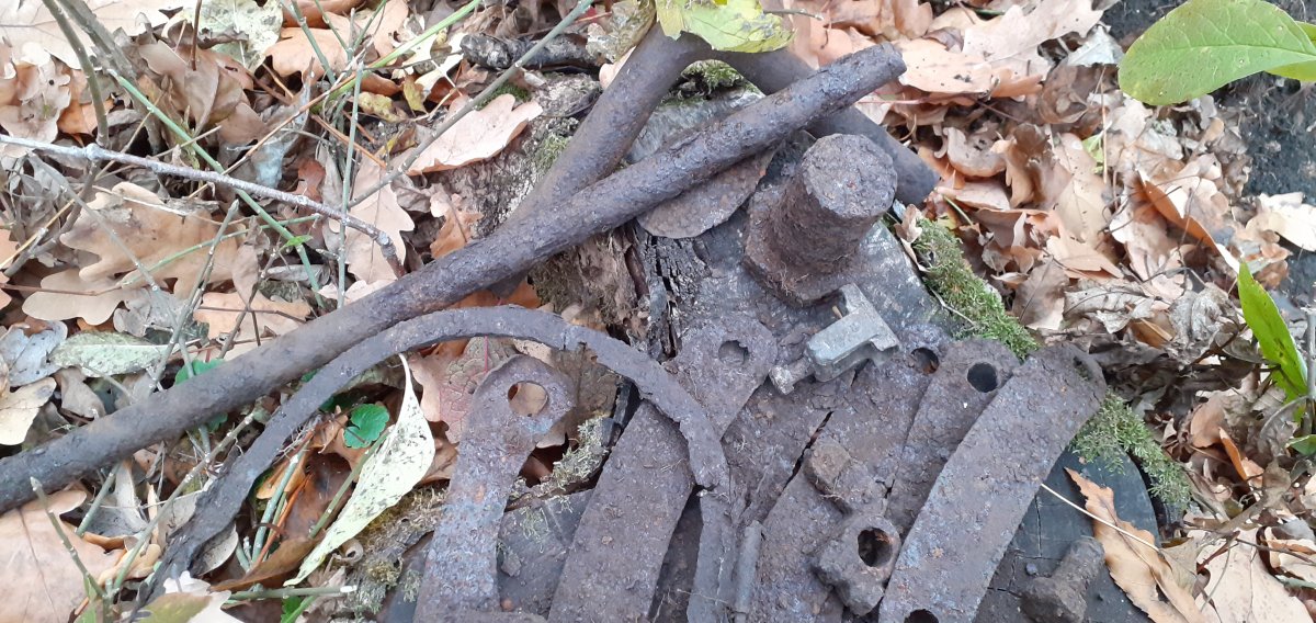 20191025_160428.jpg