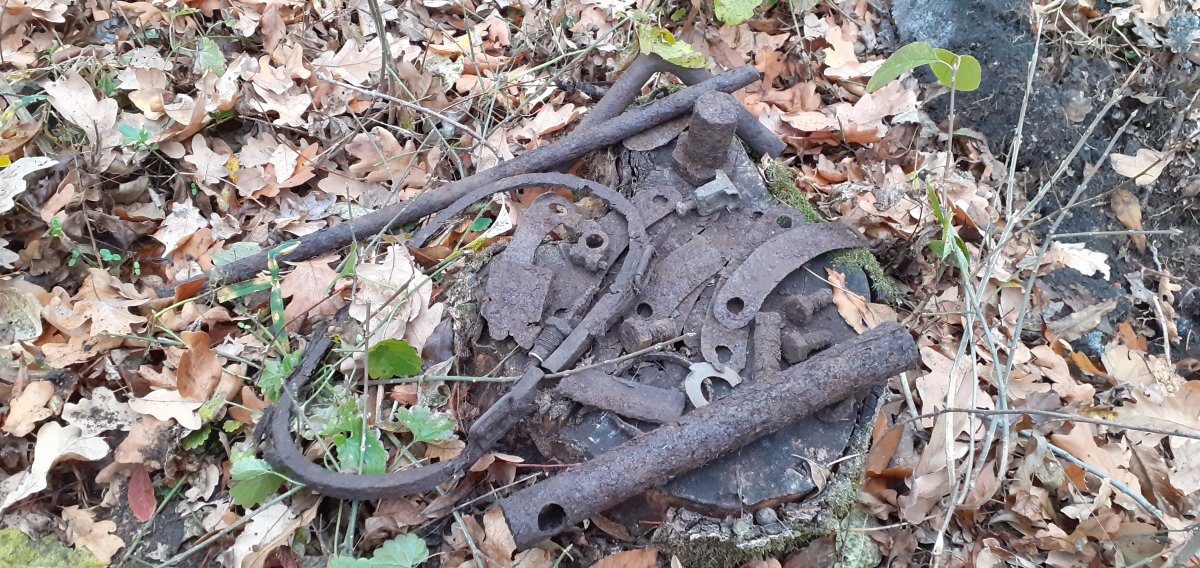 20191025_160449.jpg
