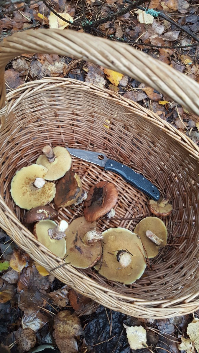 20191109_083247.jpg
