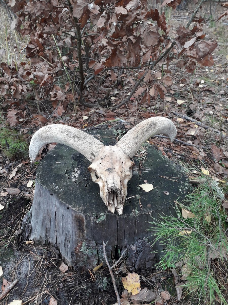 20191110_113114.jpg