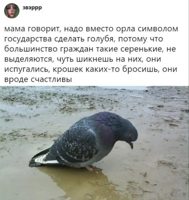 20191117_095506.png
