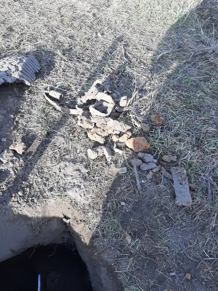 20191201_115316.jpg