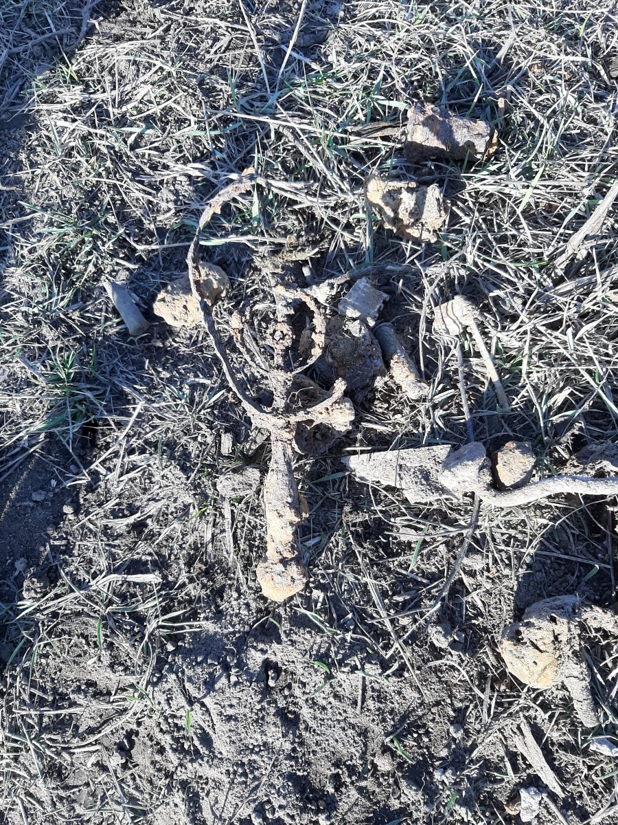 20191201_120504.jpg