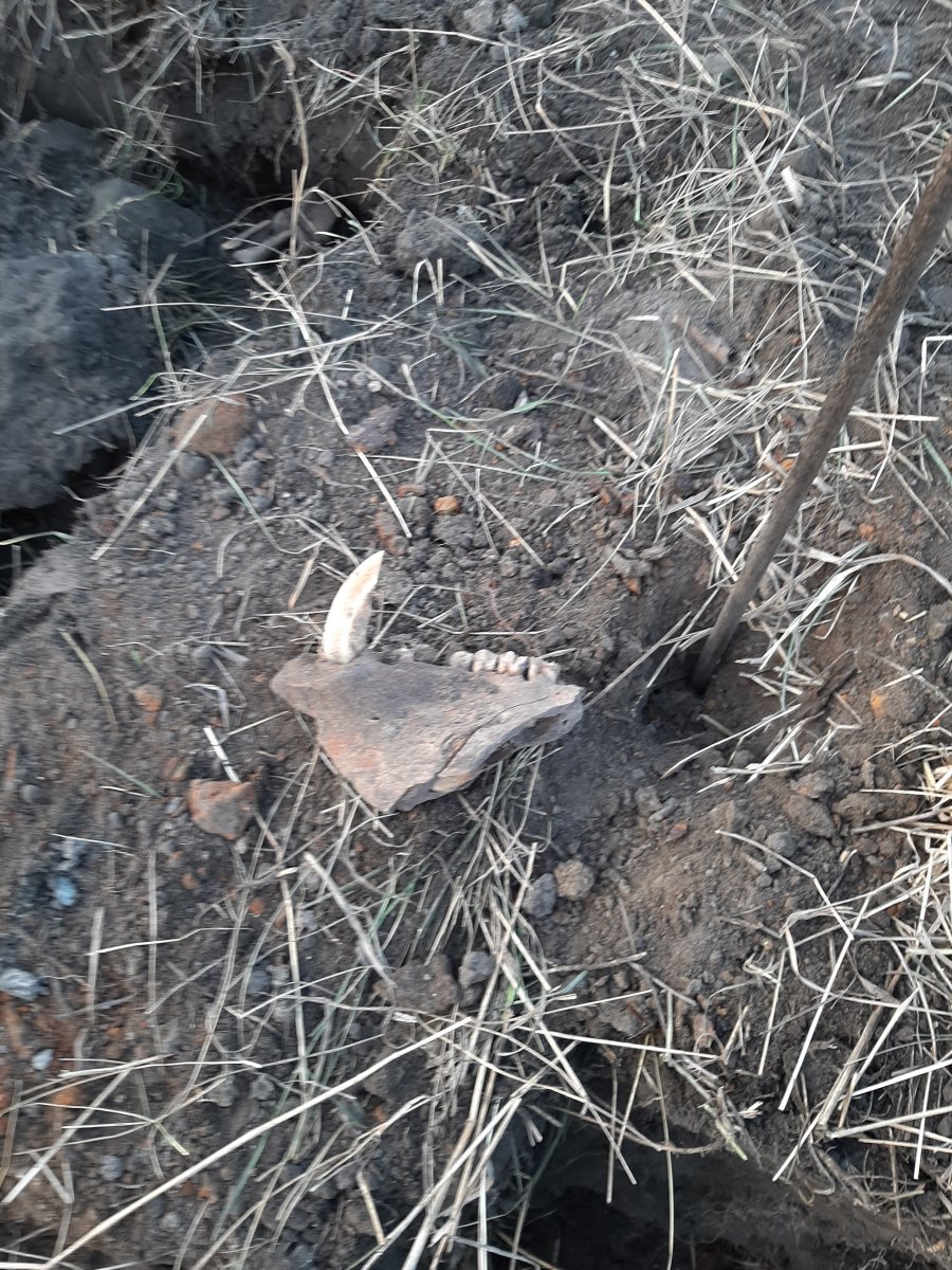 20191207_151231.jpg
