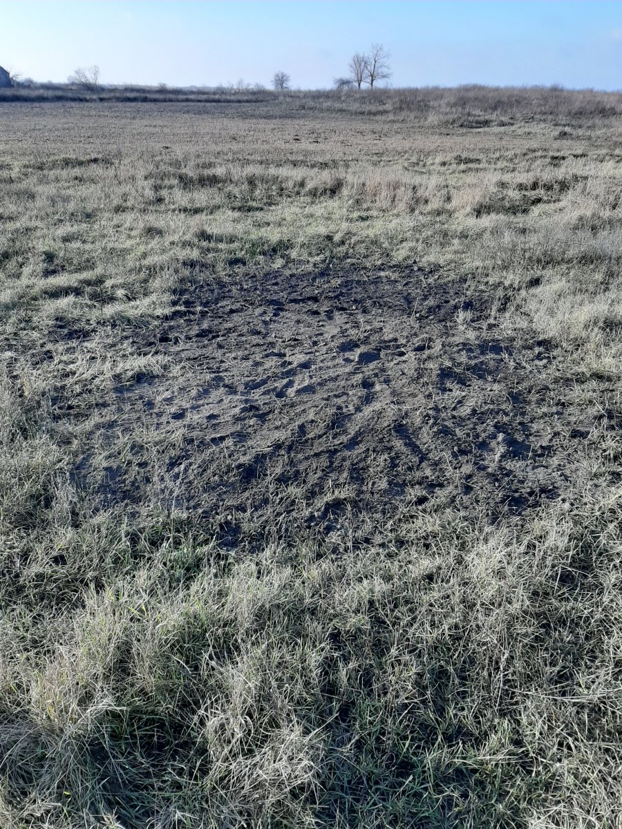 20191215_110838.jpg