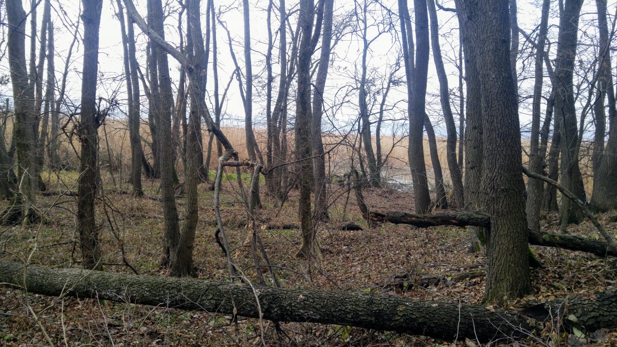 20191219_092435.jpg