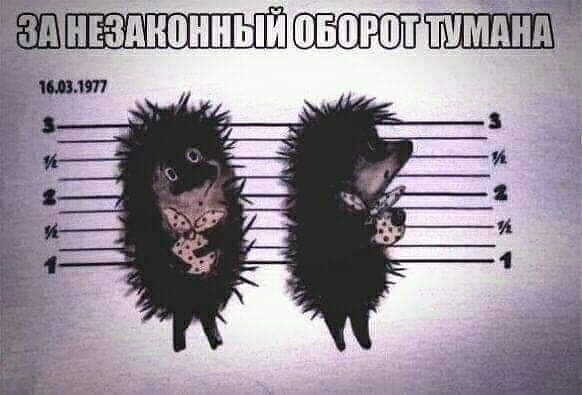 2020-09-11 19.14.04.PNG
