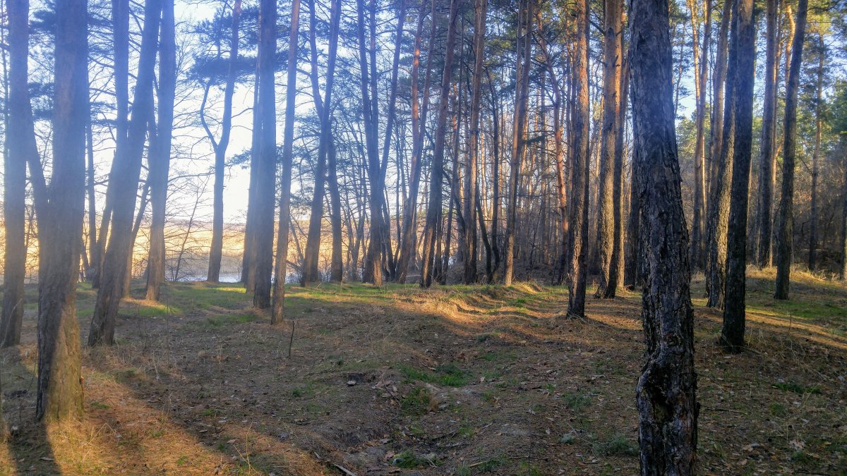 20200316_075058_HDR.jpg