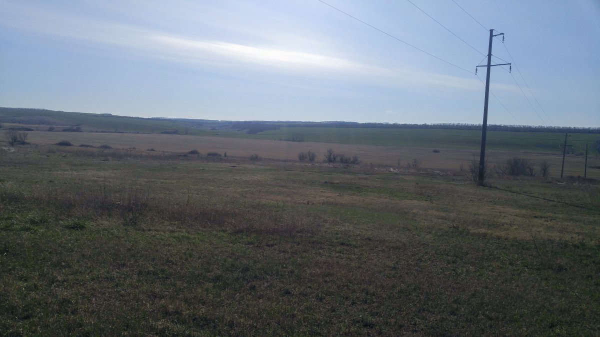 20200317_093204.jpg