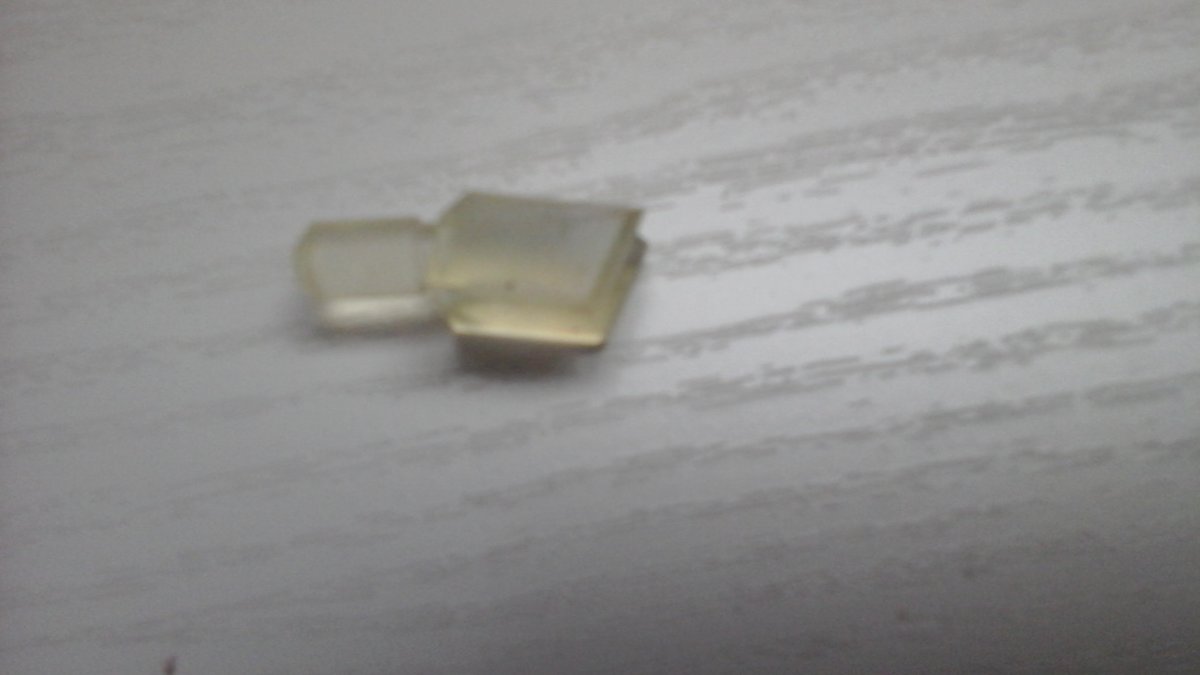 20200603_172857.jpg
