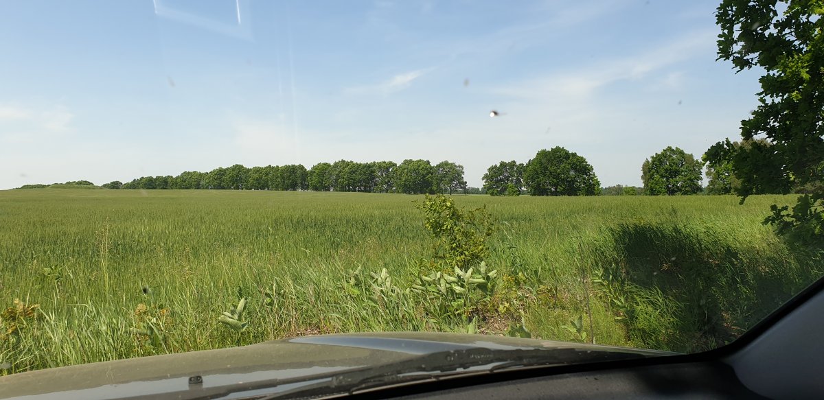 20200607_133713.jpg