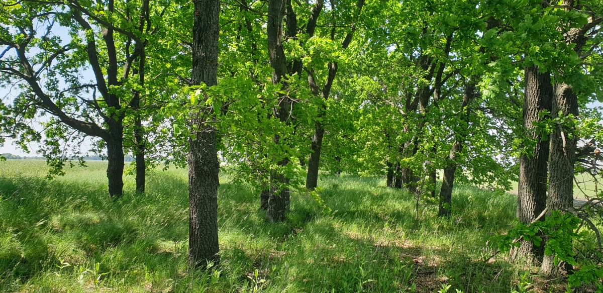 20200607_134949.jpg
