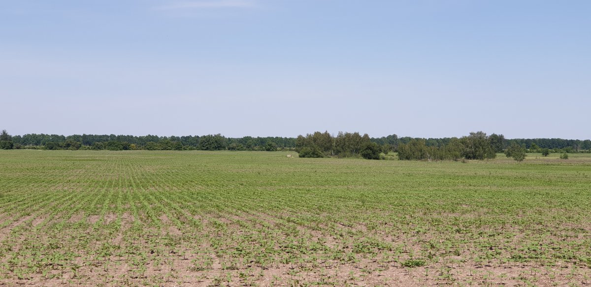 20200607_135405.jpg