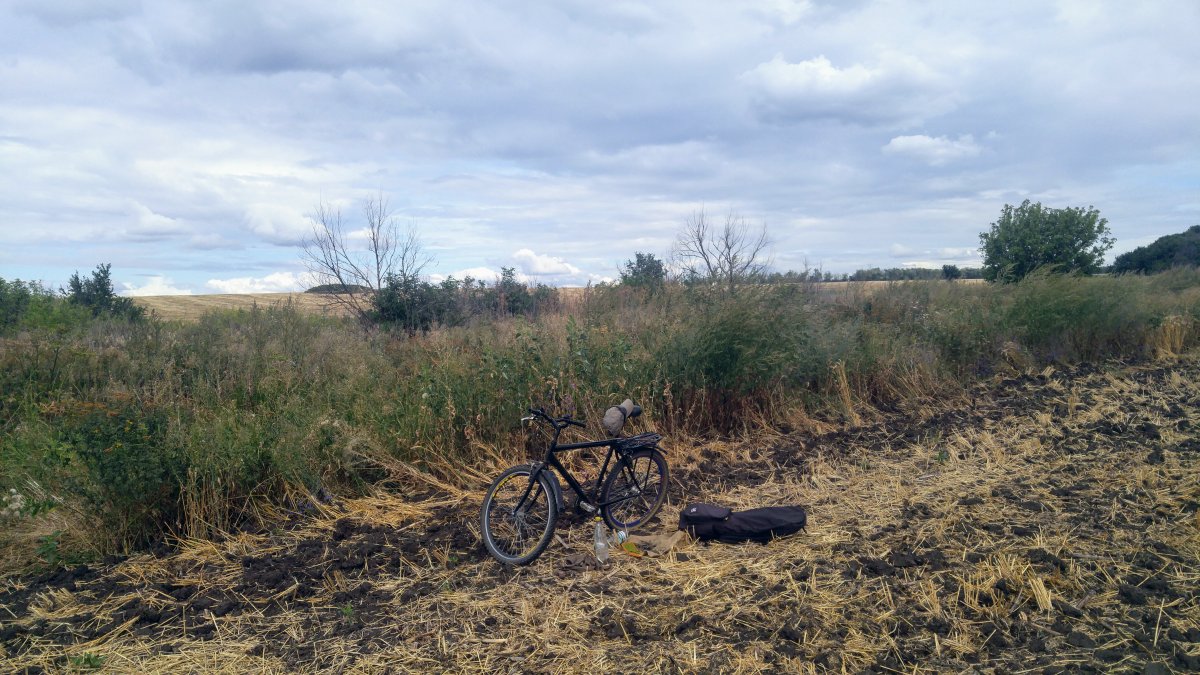 20200814_143123.jpg