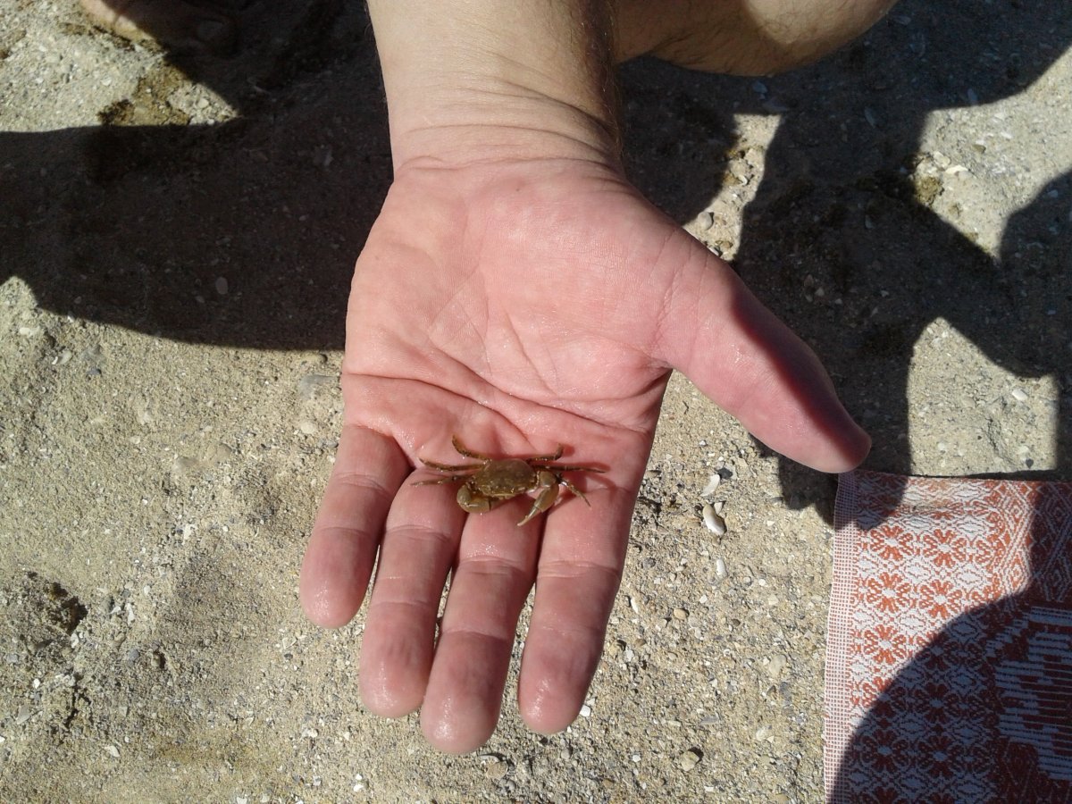 20200901_101949.jpg