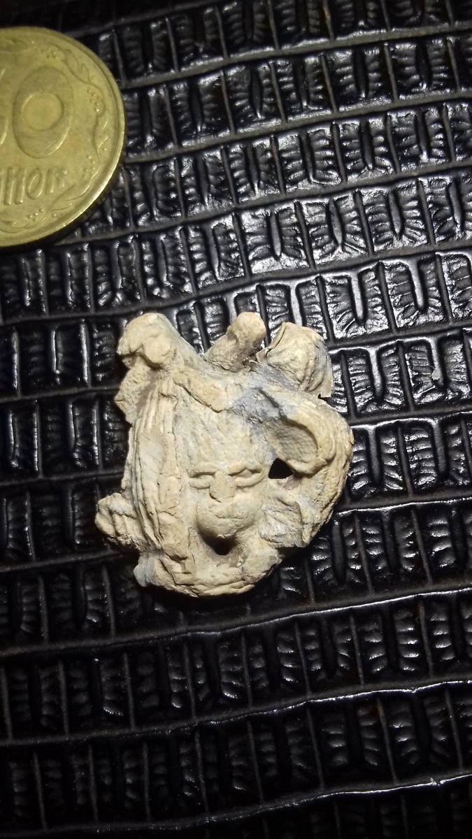 20200905_013006.jpg