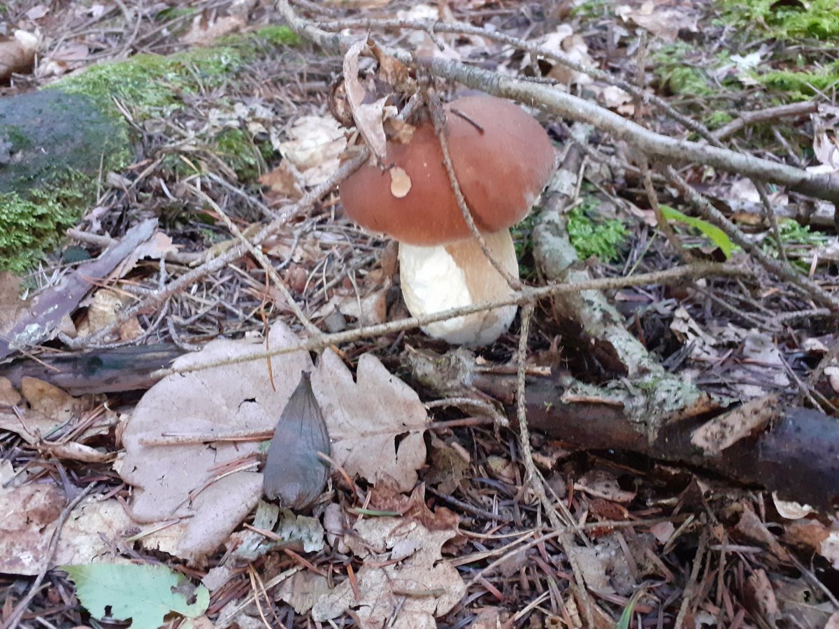 20200912_073113.jpg