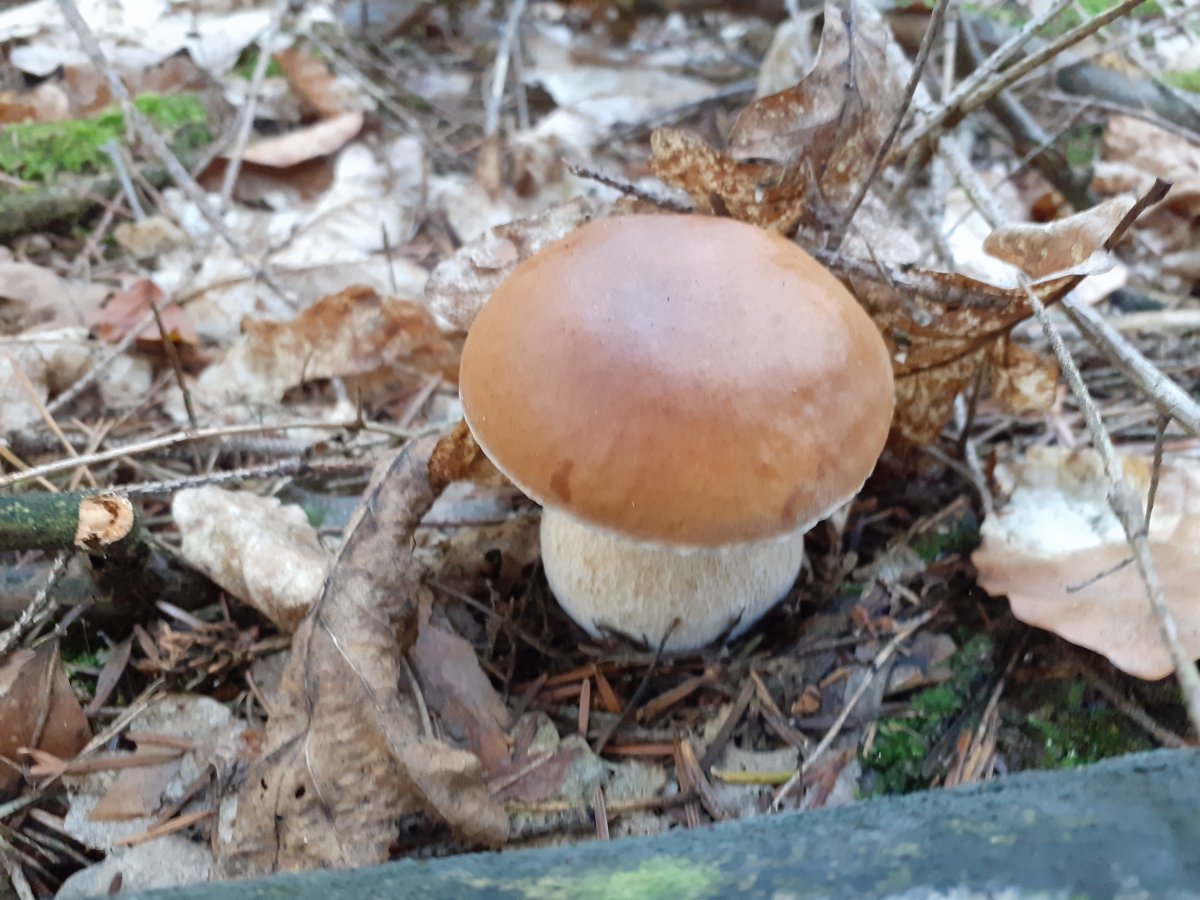 20200912_090308.jpg