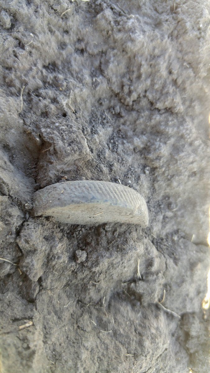 20200913_104022.jpg
