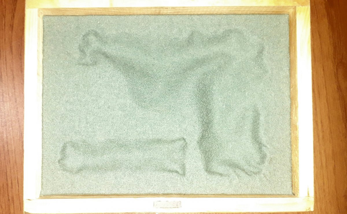 20200914_182941.jpg