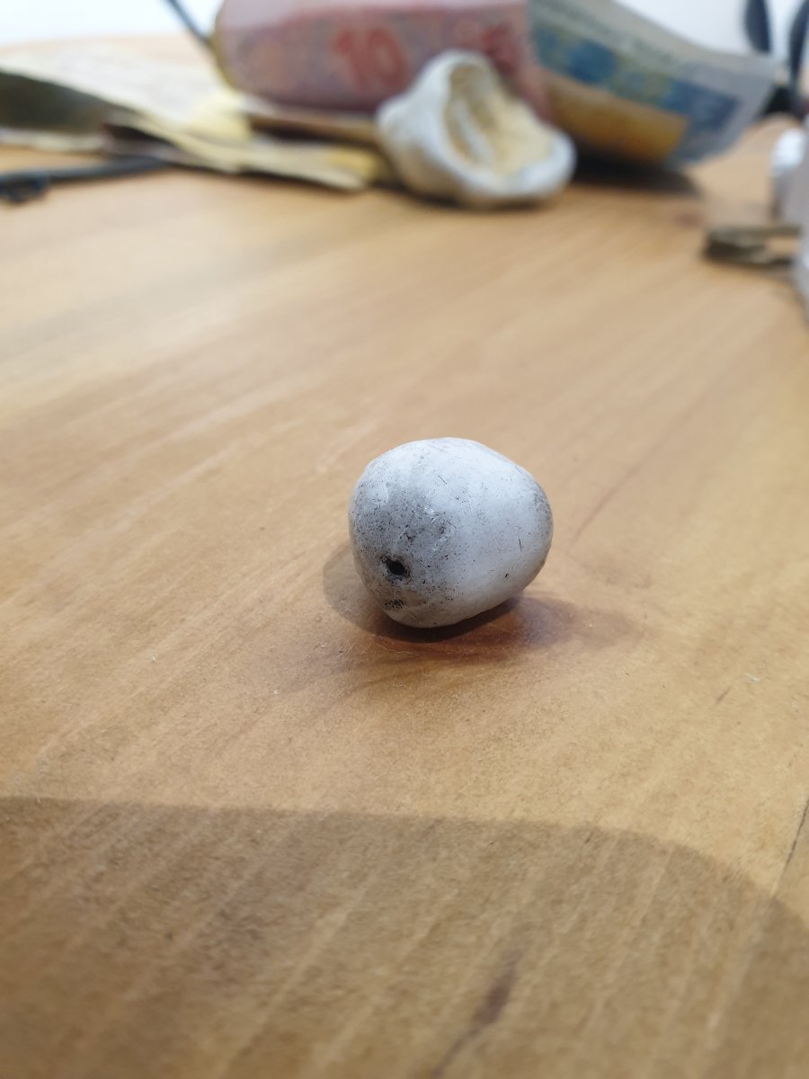 20201003_235241.jpg