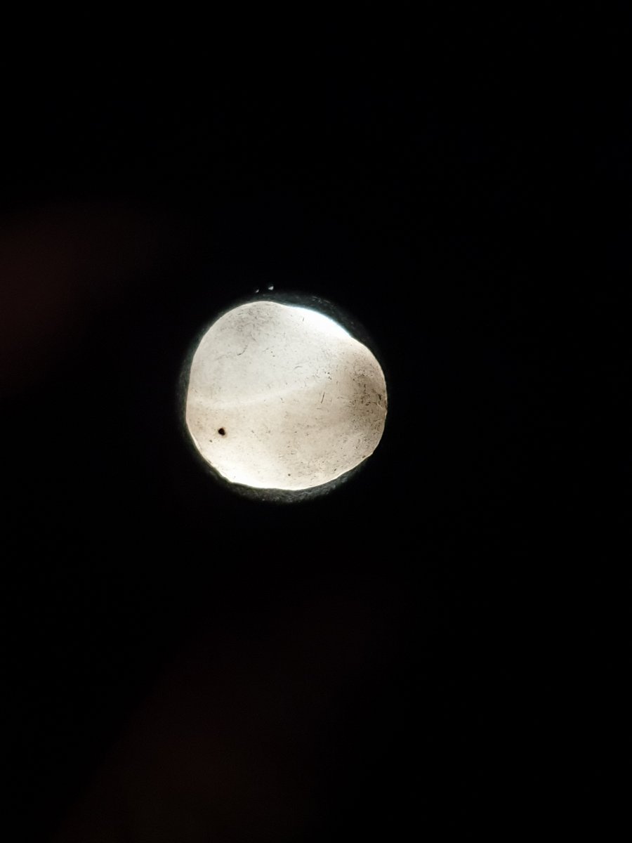 20201003_235422.jpg