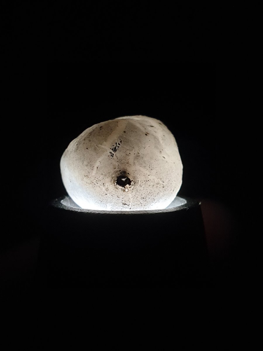 20201003_235450.jpg