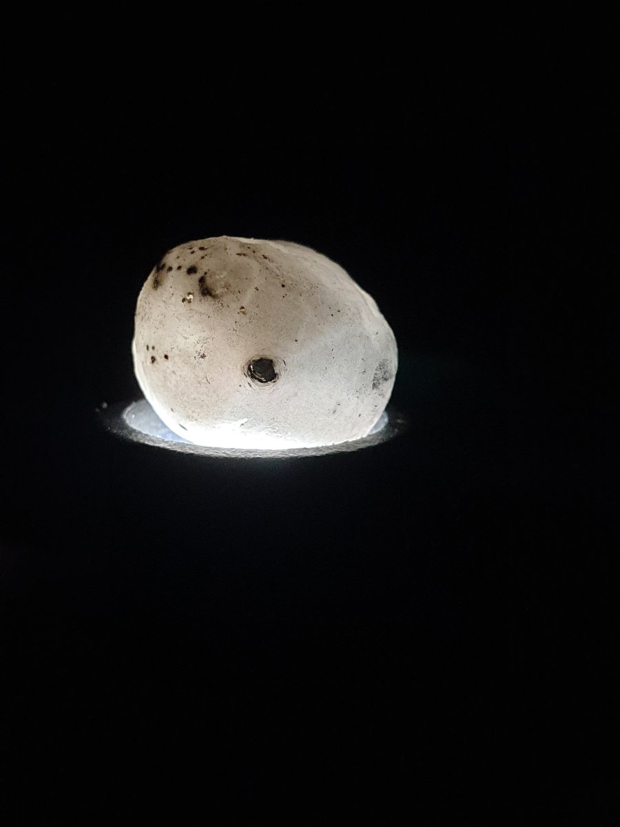 20201003_235456.jpg