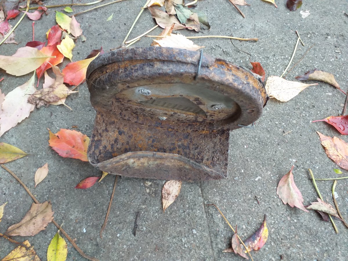 20201103_084121.jpg