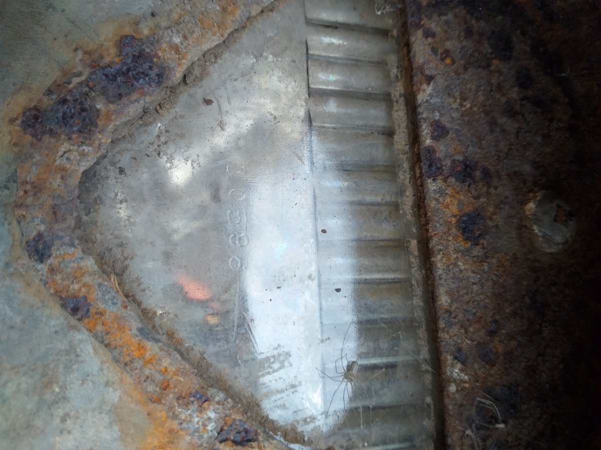 20201103_084205.jpg