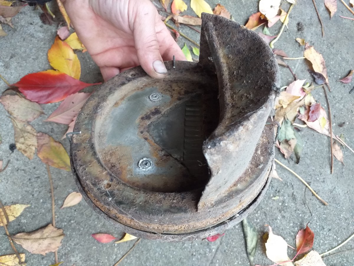 20201103_084218.jpg