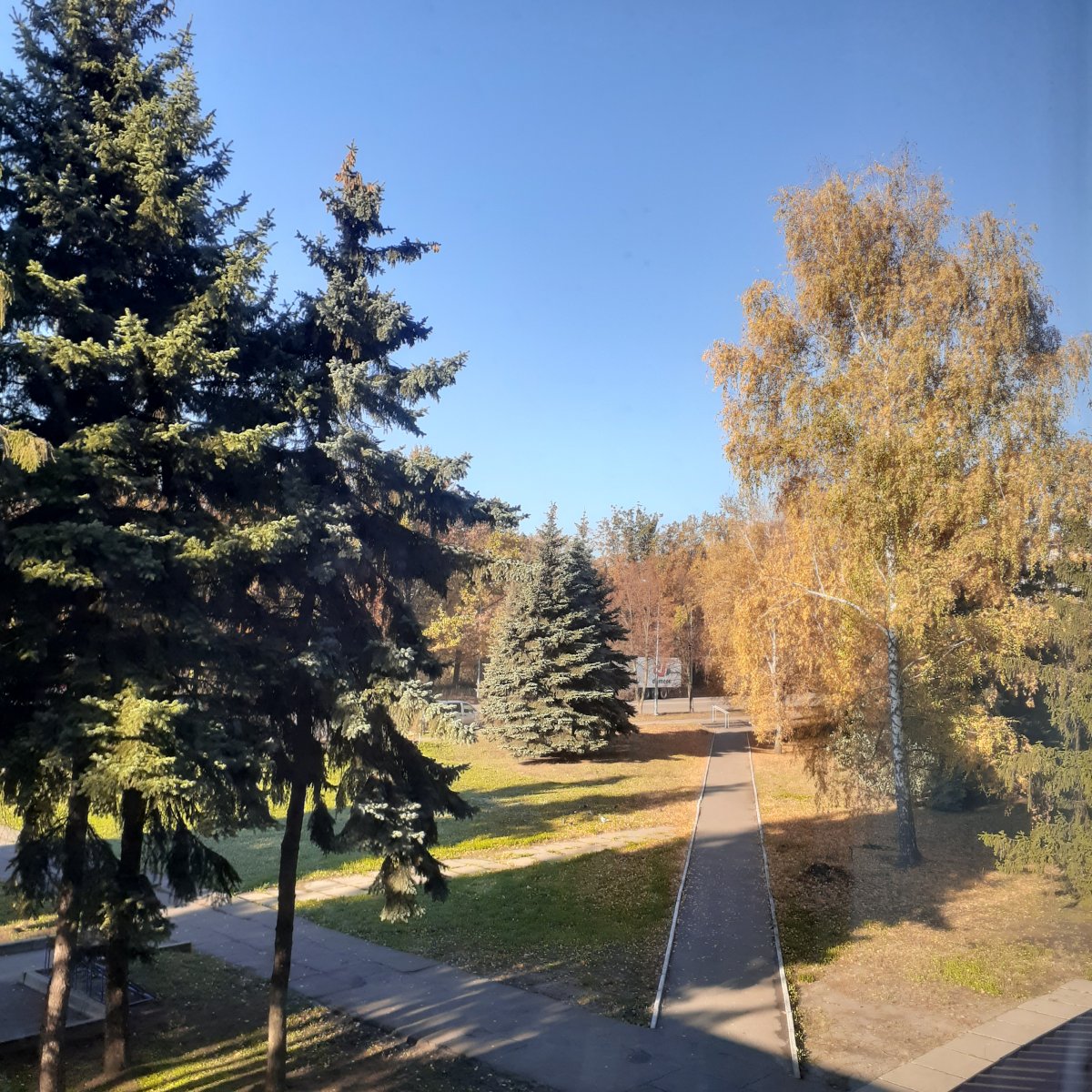 20201111_090945.jpg
