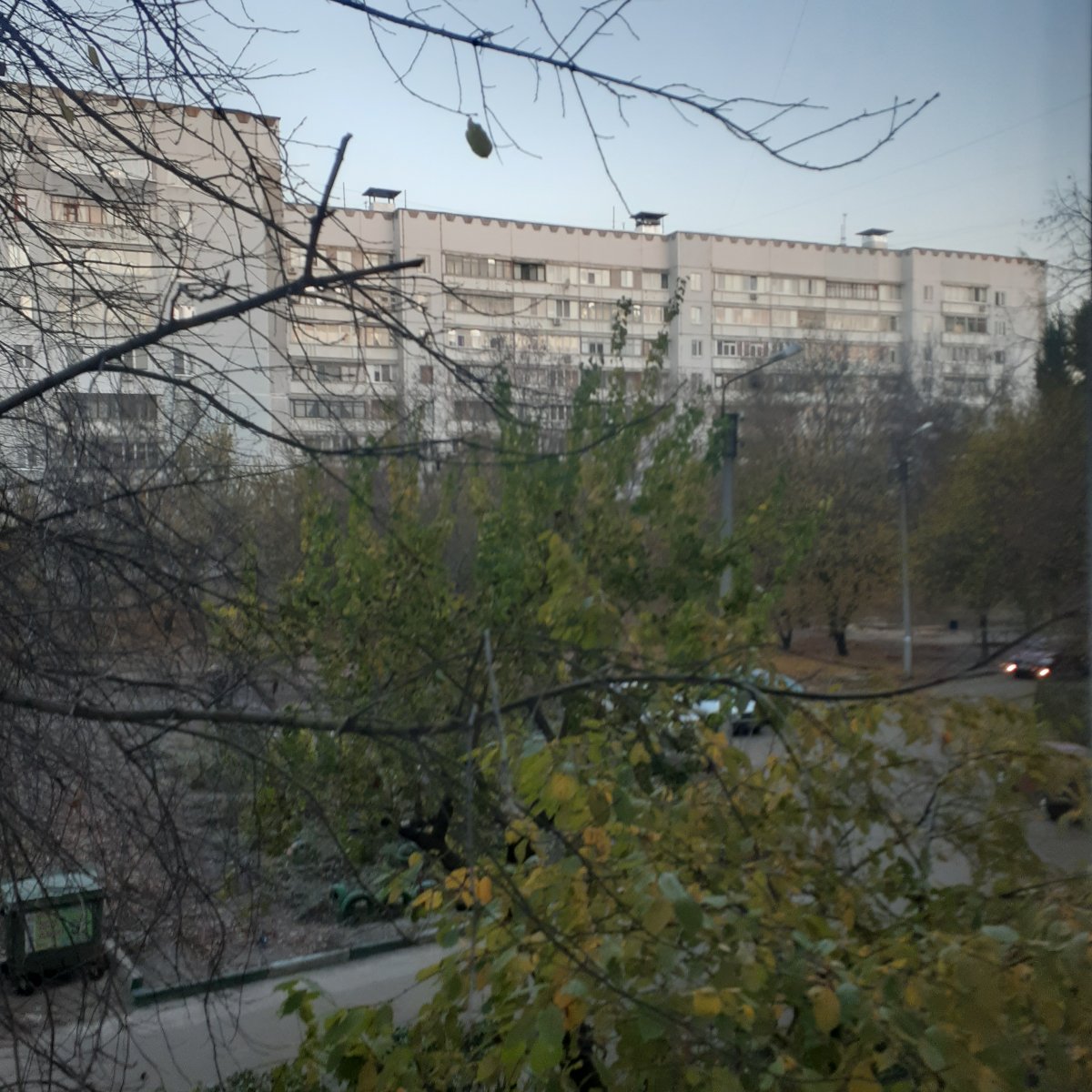 20201113_065237.jpg
