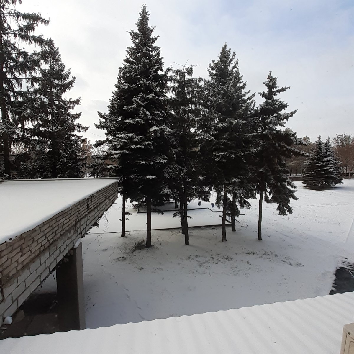 20201122_114303.jpg
