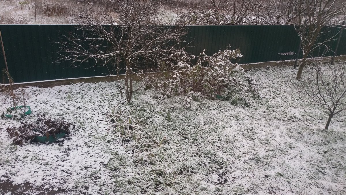 20201201_094754.jpg