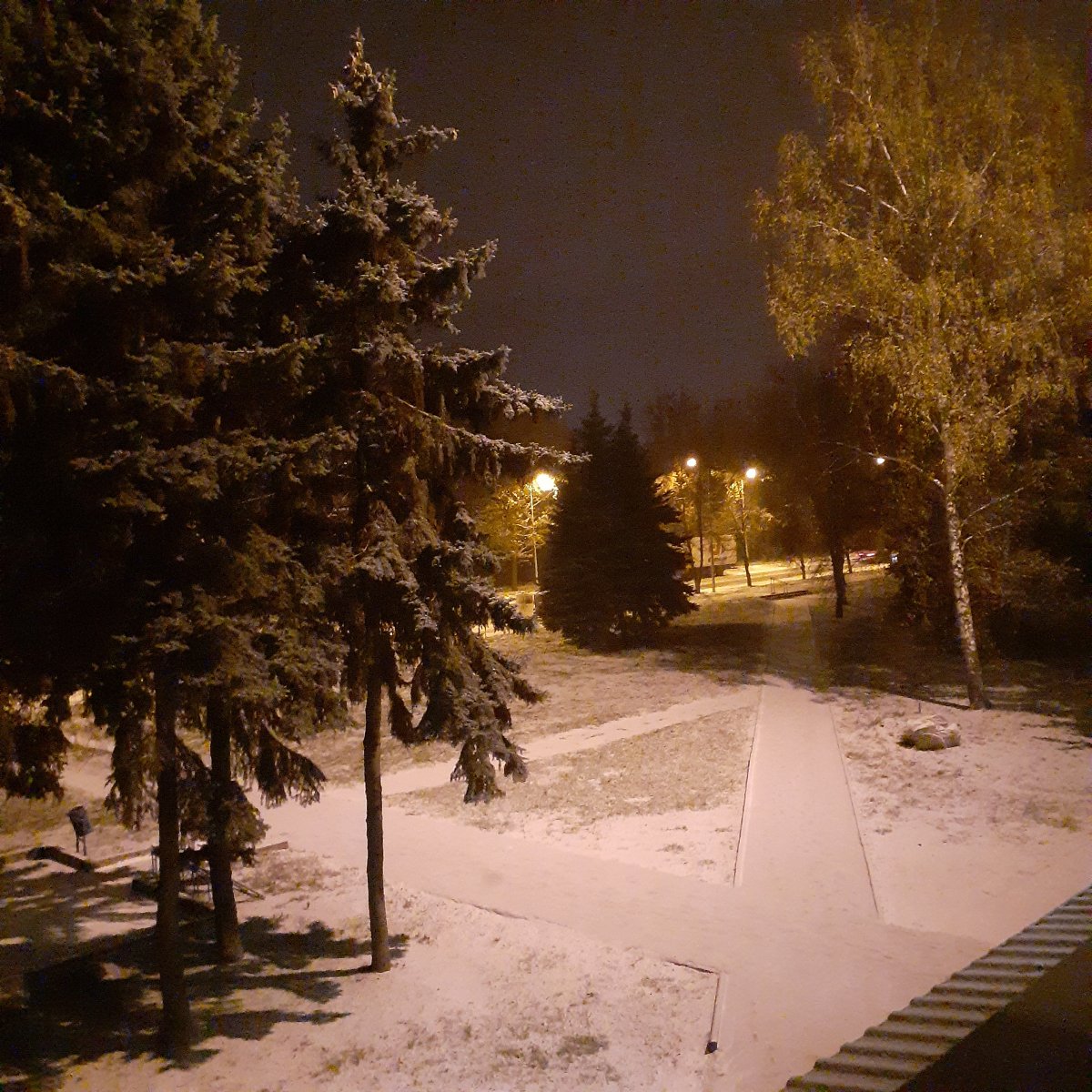 20201202_165107.jpg