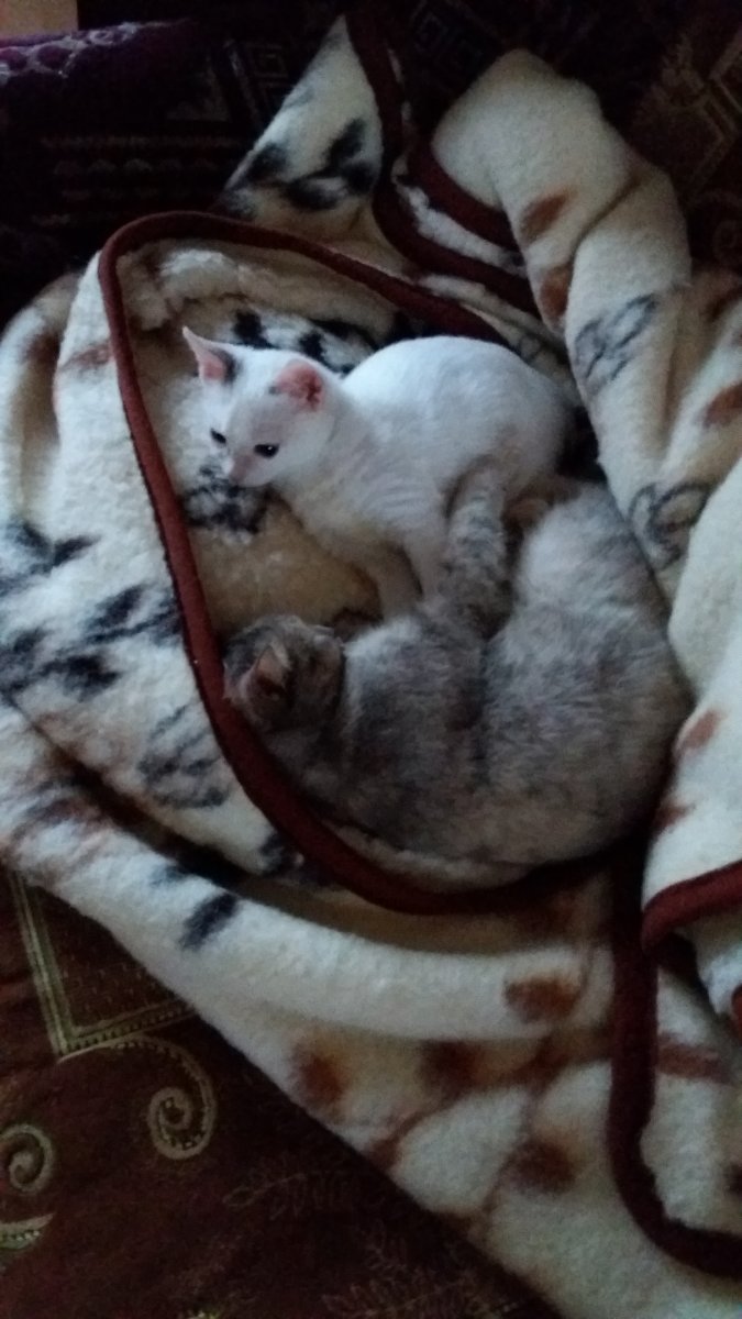 20201216_145846.jpg