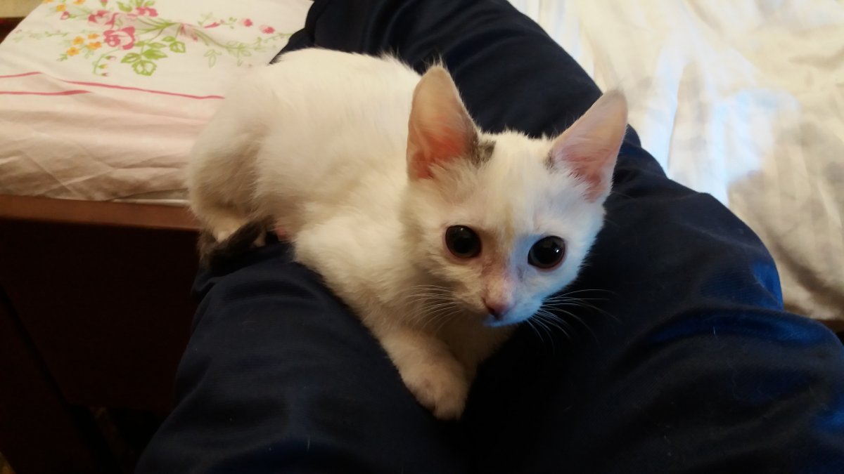 20201216_210420.jpg
