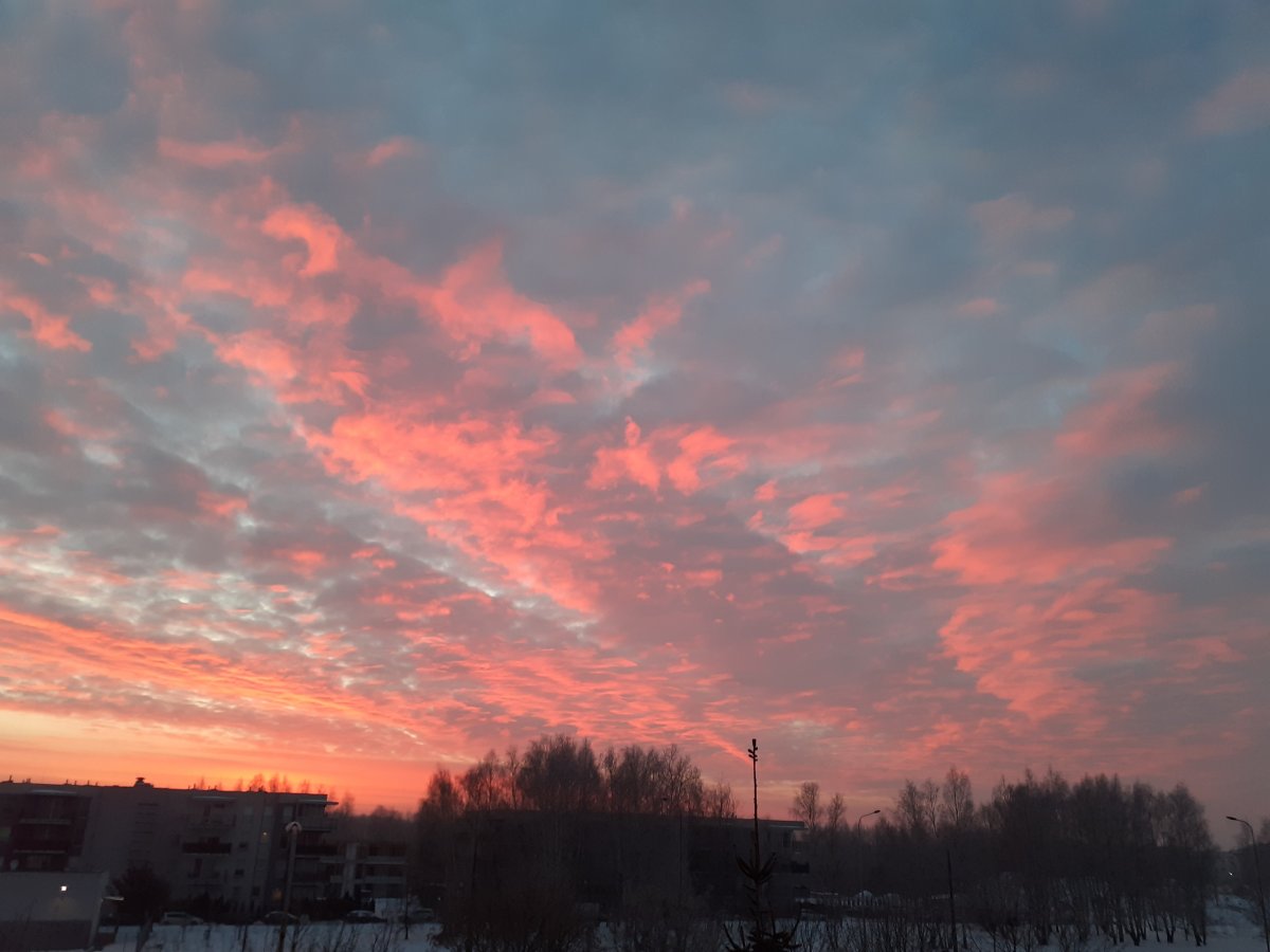 20210216_064634.jpg