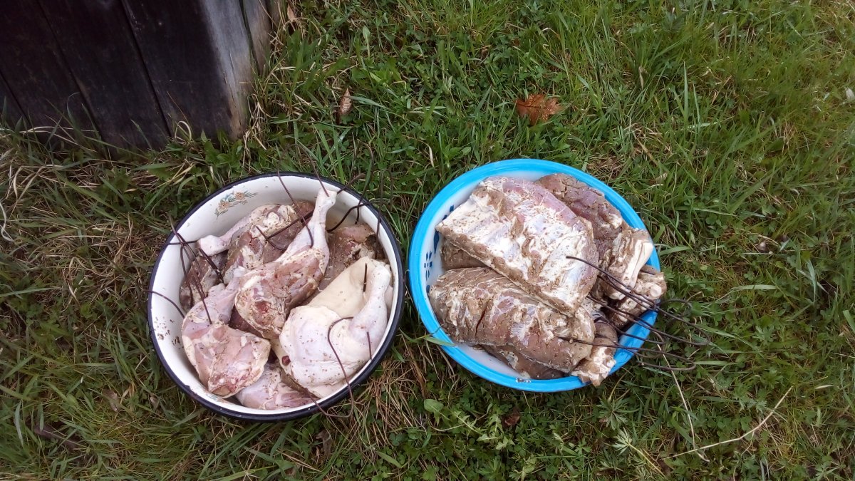 20210426_105951.jpg
