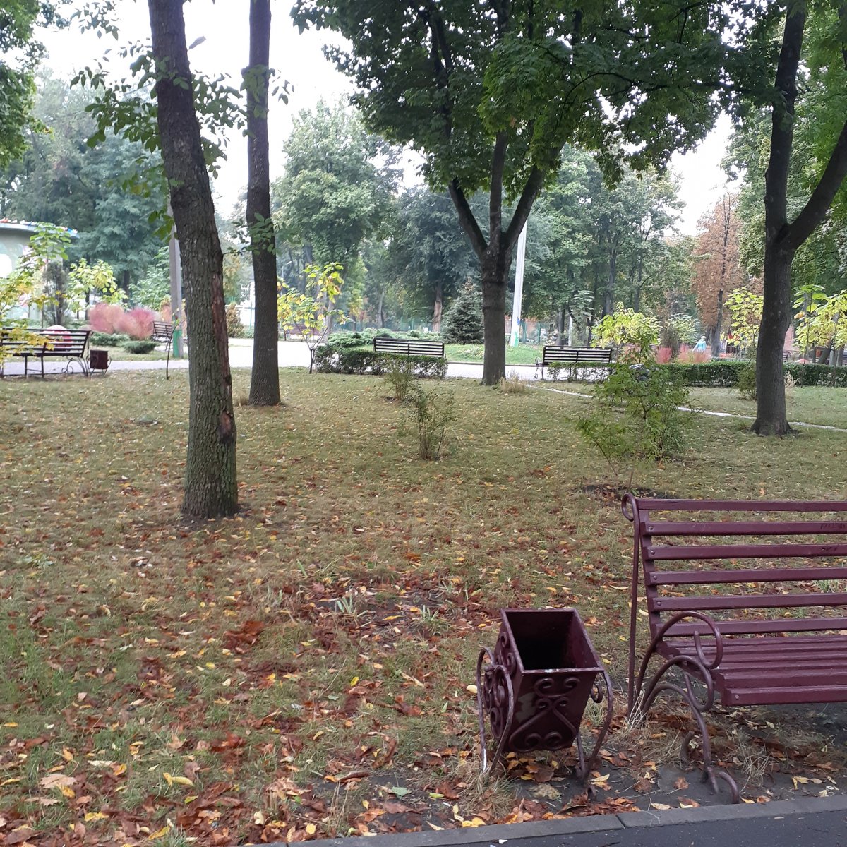 20210925_080913.jpg
