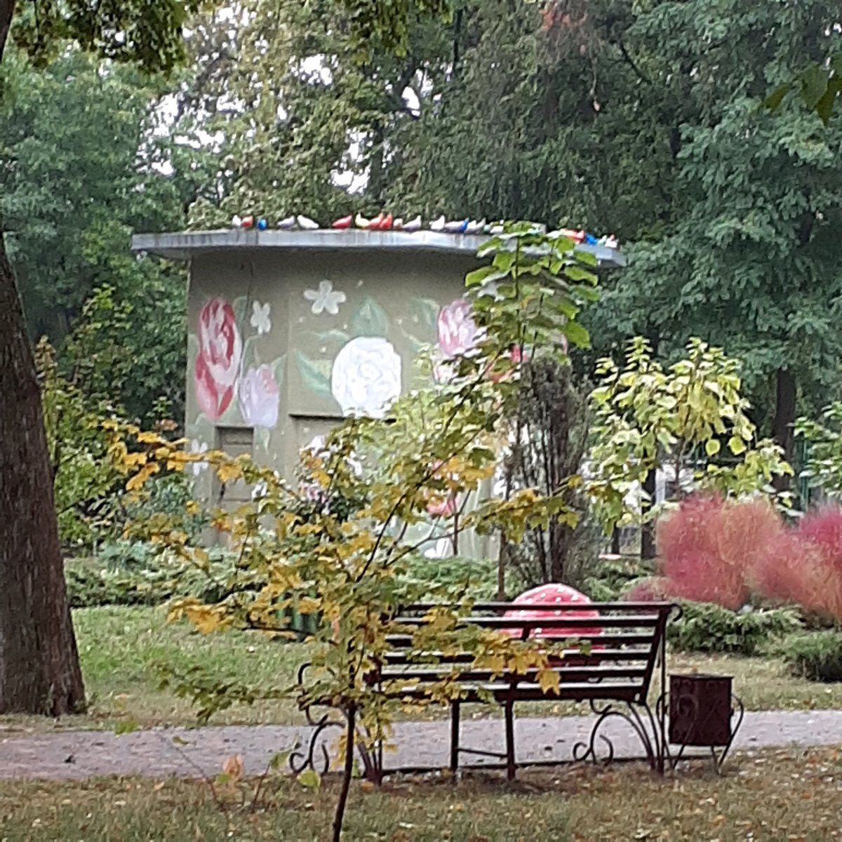 20210925_080923.jpg