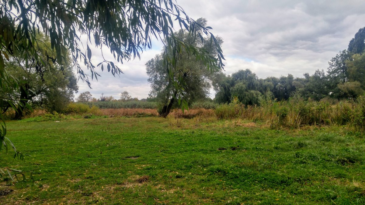 20210929_135804_HDR.jpg