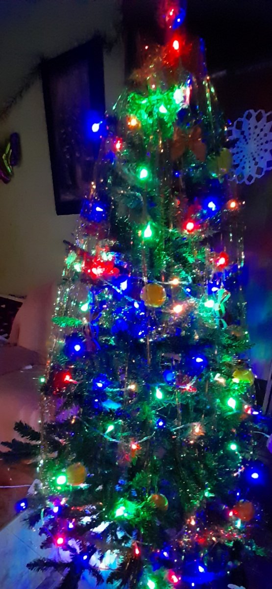 20211224_230153.jpg