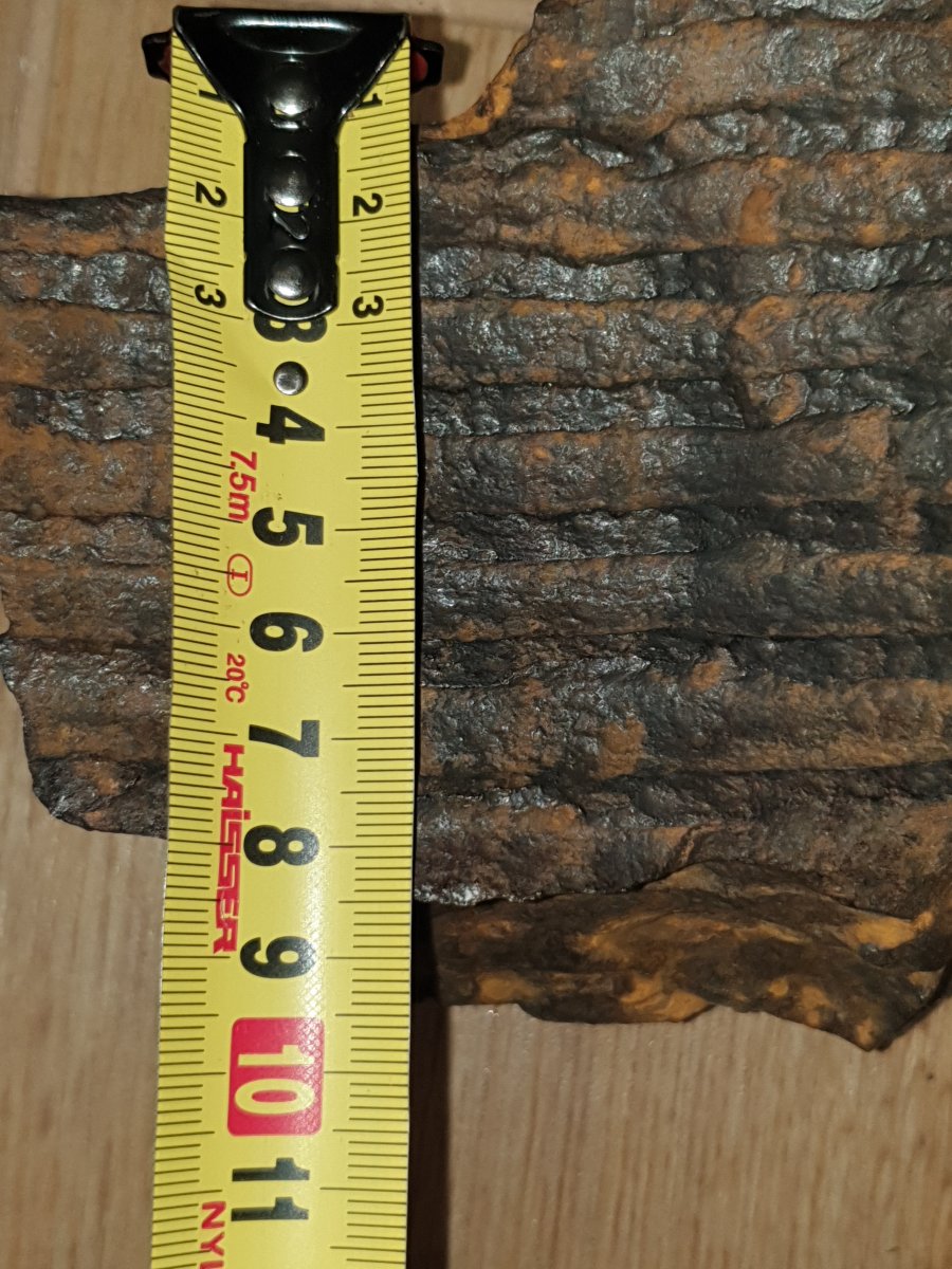 20220213_114204.jpg